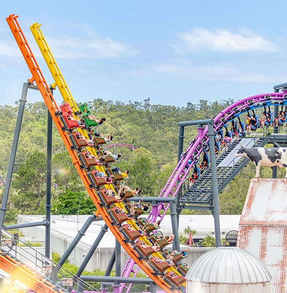 theme-park