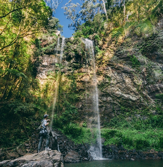 Hinterland Day Trips